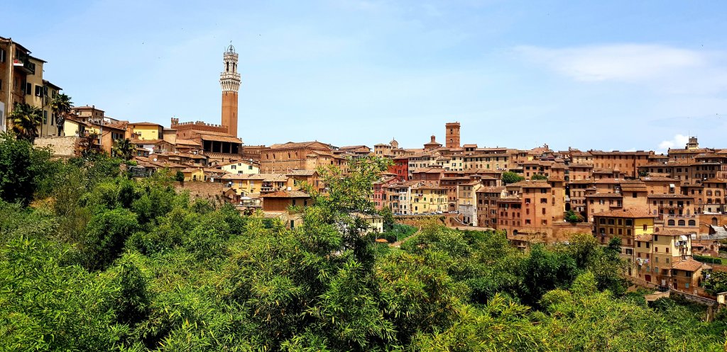 FR02 Over de Via Francigena naar Siena en verder… (San Gimignano- Siena – San Querico d’Orcia 96 km)